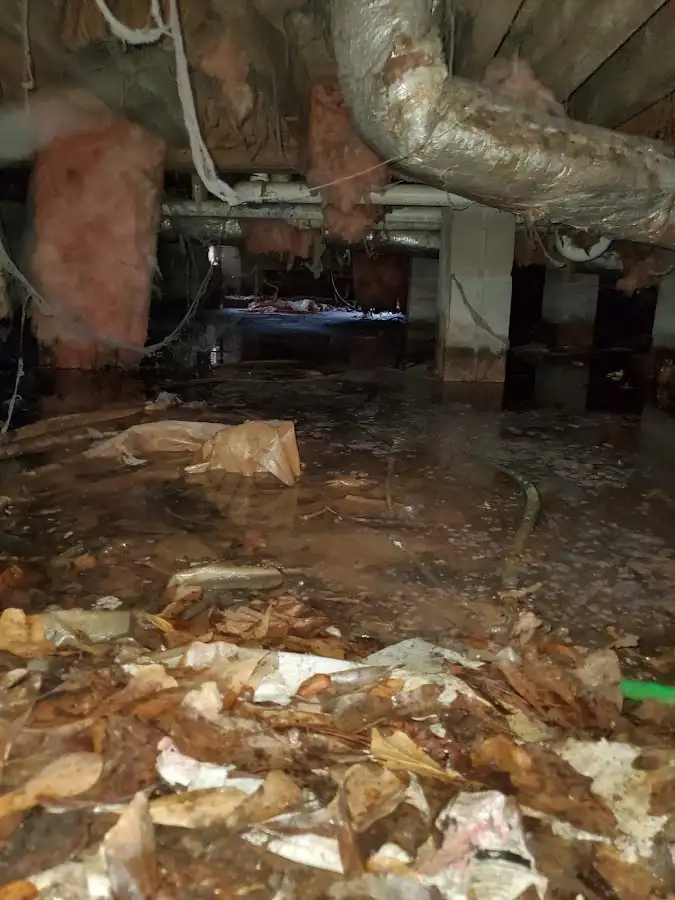 Crawl space flood assessment for Leak Detection & Repair in Great Falls