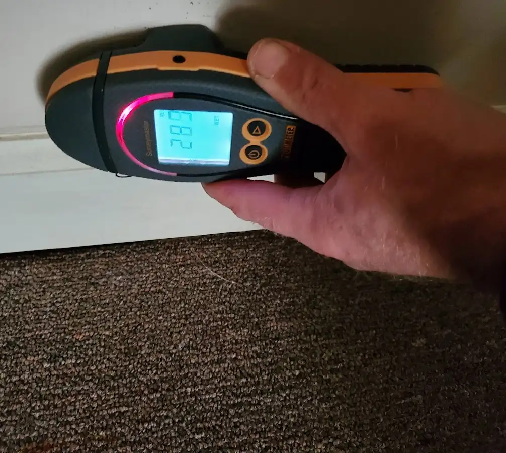 Moisture detection at baseboard during Sewage Cleanup & Sanitation in Great Falls